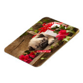 Mops Welpe und Geschenkboxen Magnet (Linke Seite)