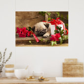 Mops Welpe und Geschenkboxen Poster (Küche)