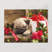 Mops Welpe und Geschenkboxen Postkarte (Vorderseite)