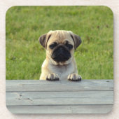 Mops-Welpe Untersetzer (Vorderseite)