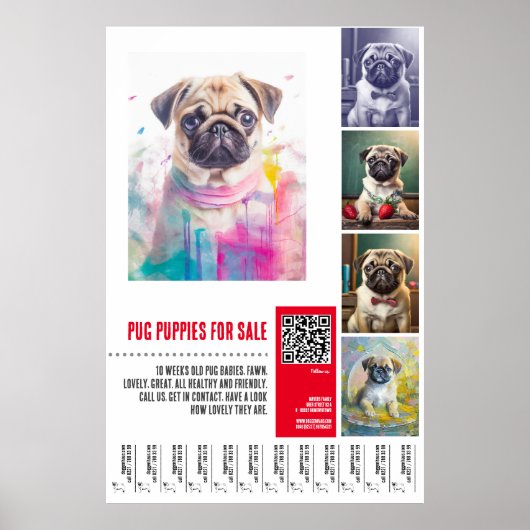 Mops Welpe zum Verkauf Poster-Vorlagen Poster (Vorne)