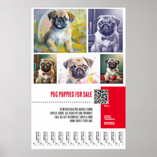 Mops Welpe zum Verkauf Poster-Vorlagen Poster