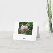 Mops Welpen Dockingkarte Karte (Rückseite)