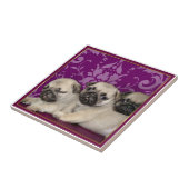 Mops-Welpen Fliese (Seite)