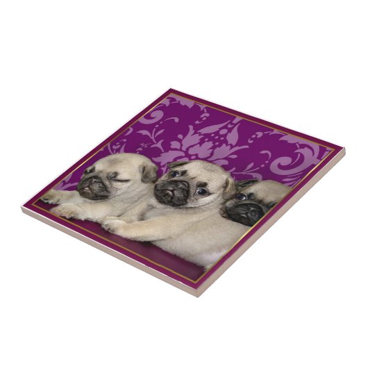 Mops-Welpen Fliese (Seite)