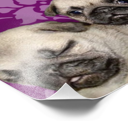 Mops Welpen Fotodruck (Ecke)