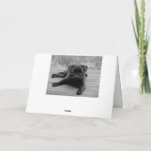 Mops Welpen Happy Birthday Card - Schwarz & Weiß Karte (Rückseite)