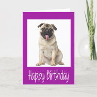 Mops Welpen Happy Birthday Card - Verse drinnen