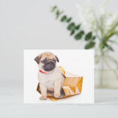 Mops Welpen Hund Gruß Postkarte (Stehend Vorderseite)
