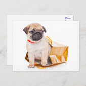 Mops Welpen Hund Gruß Postkarte (Vorne/Hinten)