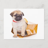 Mops Welpen Hund Gruß Postkarte (Vorderseite)