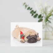 Mops Welpen Hund Gruß Postkarte (Stehend Vorderseite)