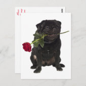 Mops Welpen Hund Gruß Postkarte (Vorne/Hinten)