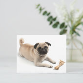 Mops Welpen Hund Gruß Postkarte (Stehend Vorderseite)
