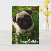 Mops Welpen Hund Happy Birthday Card - Verse drinn Karte (Gelbe Blume)