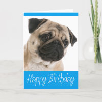 Mops Welpen Hund Happy Birthday Card - Verse drinn