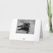 Mops Welpen Hund Happy Birthday Card - Verse drinn Karte (Rückseite)