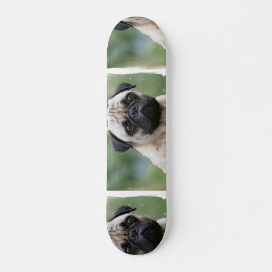 Mops-Welpen-HundeSkateboard Skateboard (Vorne)