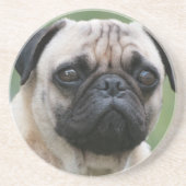 Mops-Welpen-HundeUntersetzer Untersetzer (Vorne)