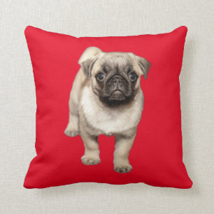 Mops-Welpen-kundenspezifische Hintergrund-Farbe Kissen
