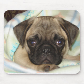 Mops-Welpen-Mausunterlage Mousepad