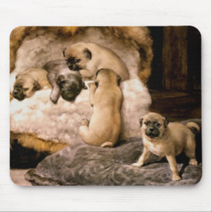 Mops-Welpen Mousepad