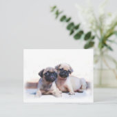 Mops Welpen Postkarte (Stehend Vorderseite)