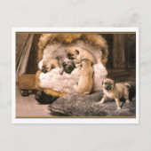 Mops Welpen Postkarte (Vorderseite)