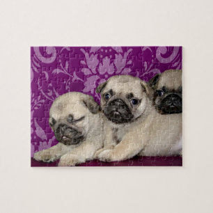 Mops Welpen Puzzle