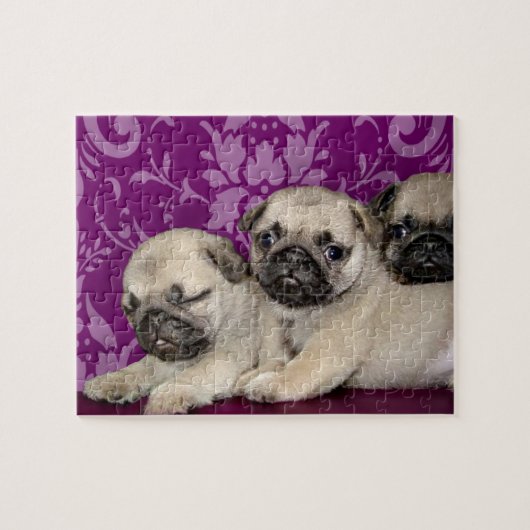 Mops Welpen Puzzle (Horizontal)