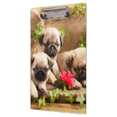 Mops Welpen unter Blume Klemmbrett (Links)