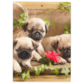 Mops Welpen unter Blume Klemmbrett (Rückseite)