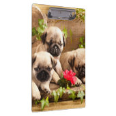 Mops Welpen unter Blume Klemmbrett (Rechts)