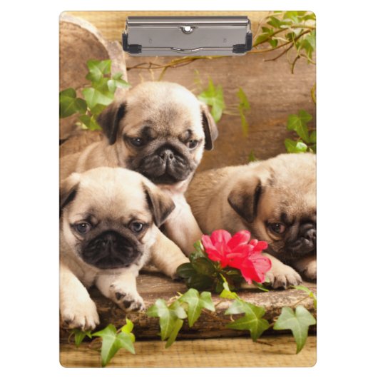 Mops Welpen unter Blume Klemmbrett (Vorderseite)
