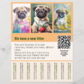 Mops Welpen zum Verkauf Flyer Vorlage QR-Code (Vorderseite)