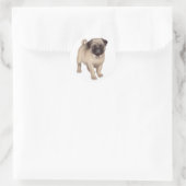 Mops Welpenhalter Runder Aufkleber (Tasche)