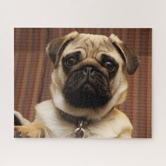 Mops Welpenhund Puzzle (Horizontal)