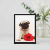 Mops-Welpenkarte Postkarte (Stehend Vorderseite)