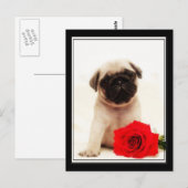 Mops-Welpenkarte Postkarte (Vorne/Hinten)