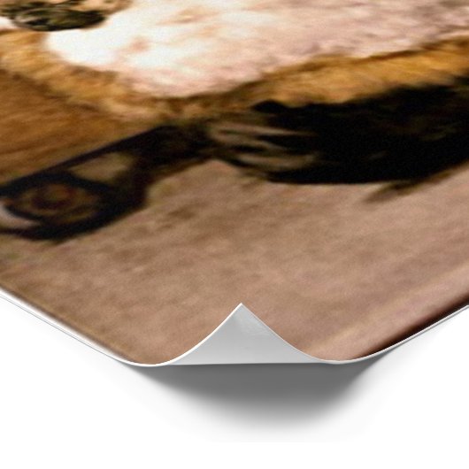 Mops Welppies Poster (Ecke)