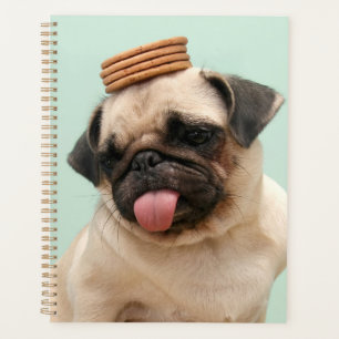 Mops Will Leckereien Planer