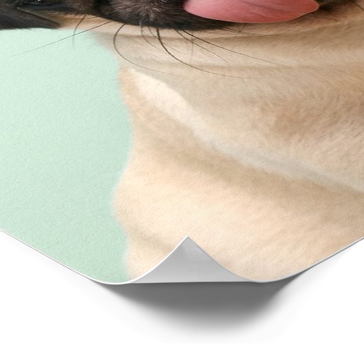 Mops Will Leckereien Poster (Ecke)