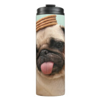 Mops Will Leckereien
