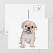 "Mops-Zu" Postkarte (Vorne/Hinten)