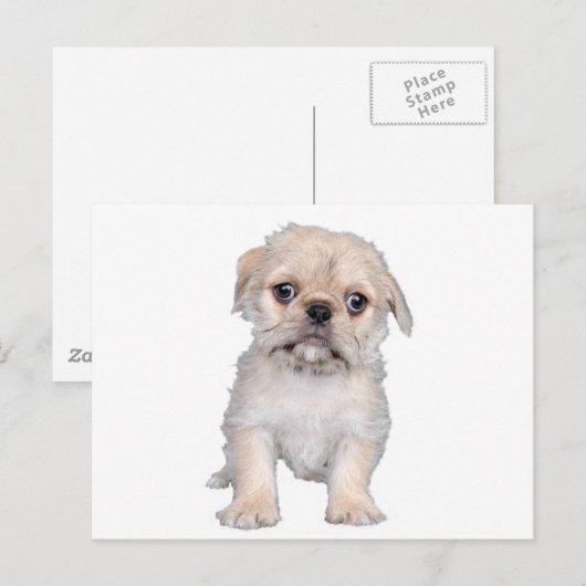 "Mops-Zu" Postkarte (Vorne/Hinten)