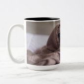 Mops Zweifarbige Tasse (Links)