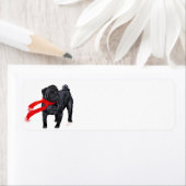 Möpsen in Rotem Scarf (Insitu)