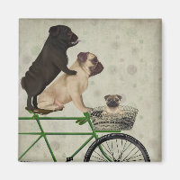 Möpsen zum Fahrrad