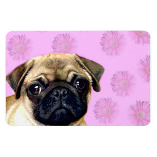 Mopshund Magnet