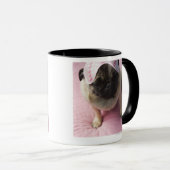 Mopshund mit Augenmaske auf dem Kopf, der auf Bett Tasse (VorderseiteRechts)